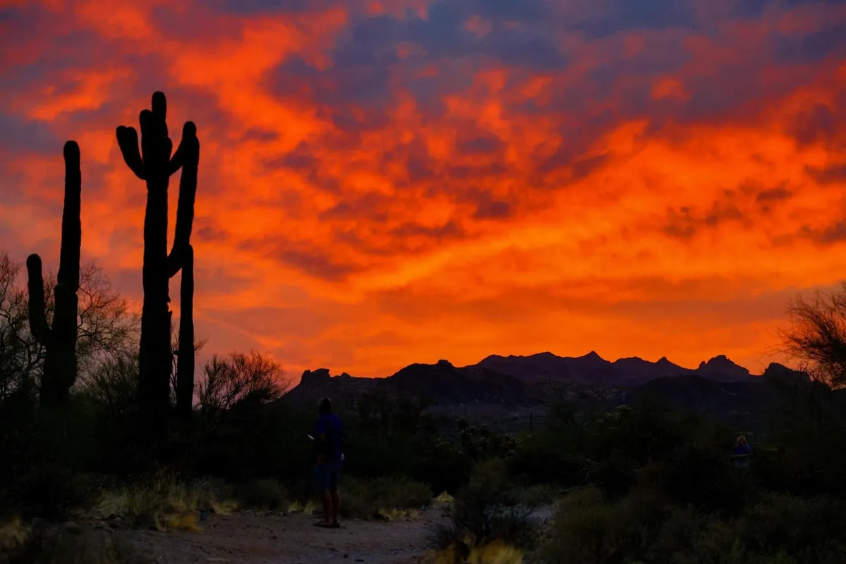 A breathtaking view of the desert at dusk, with silhouetted cacti framing a vibrant sunset sky and the Superstition mountain range in the background. The peaceful atmosphere invites contemplation and a sense of expansive wilderness.